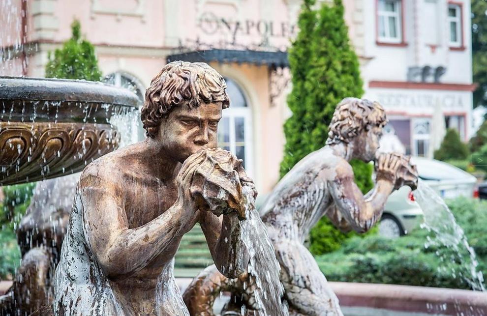 Hotel Napoleon Wroblew  Экстерьер фото